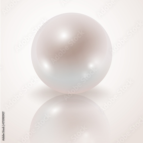 Pearl. White Pearl isolated on white background, decor, decoration