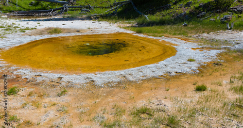 Liberty Pool in Yellowstone National Park