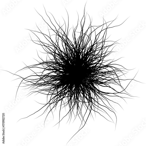 Vector Forked Fibrous Organic Form. Filamentary Roots Tentacle Pattern.  