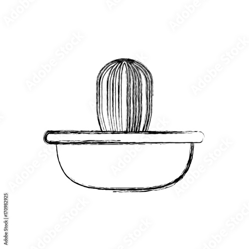  flat line  uncolored squeezer  over white  background  vector illustration
