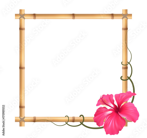 Realistic bamboo frame with hibiscus flower.
