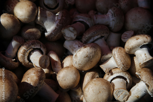 Crimini baby bells mushrooms for sale at the Farmers Market