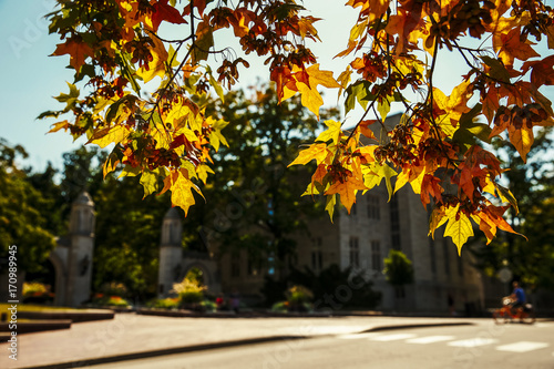 Autumn leaves turing in September near the Sample Gates at Indiana University