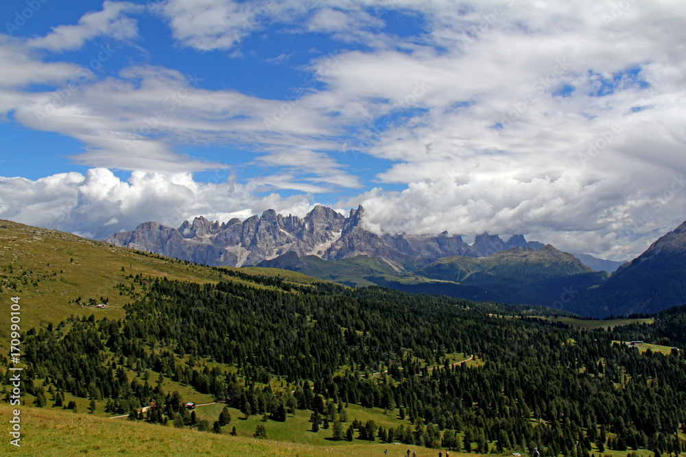 il gruppo delle Pale di San Martino dalla Viezzena (Val di Fiemme, Trentino)