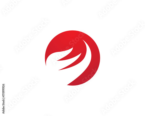 Fire flame Logo Template