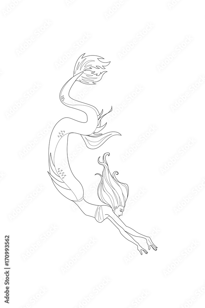 Beautiful cartoon mermaid or siren. Sea theme. Hand drawing isolated  objects. Vector illustration. Coloring book Stock Vector | Adobe Stock