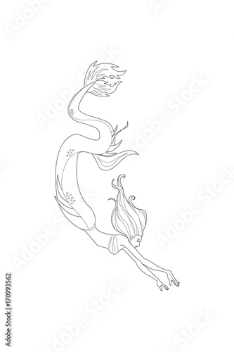 Beautiful cartoon mermaid or siren. Sea theme. Hand drawing isolated objects. Vector illustration. Coloring book