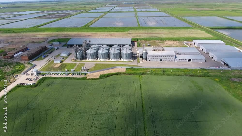 Plant for the drying and storage of grain. Rice plant in the middle of ...