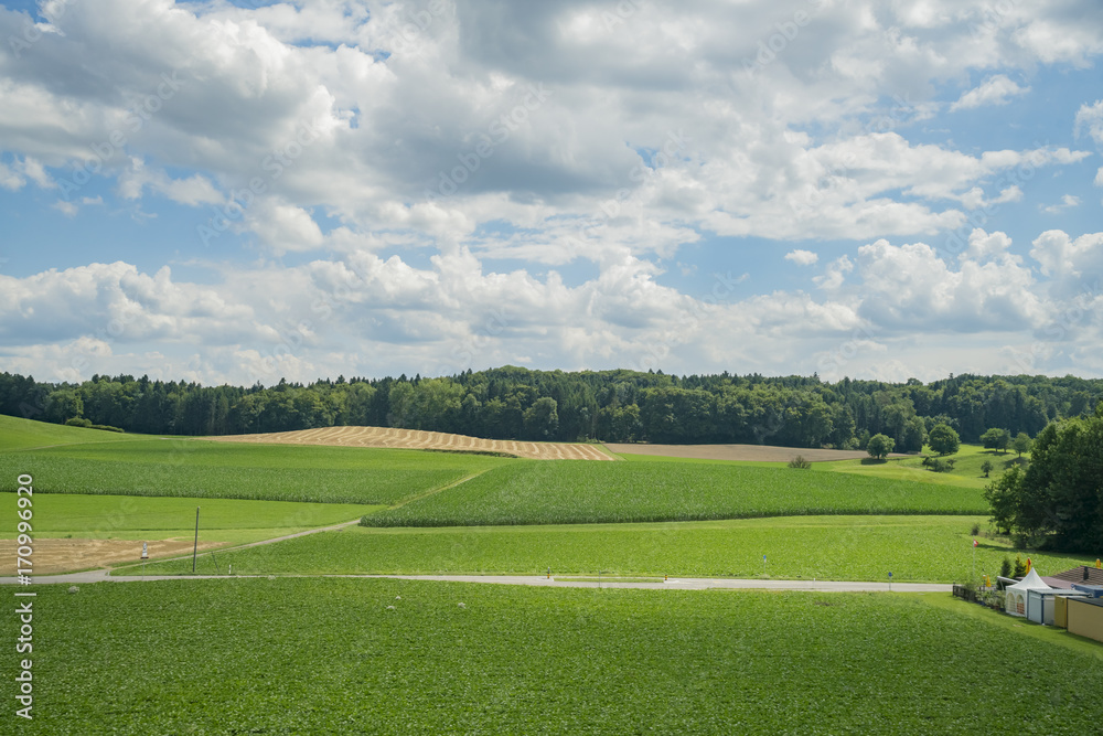 Rural scenic around Switzerland