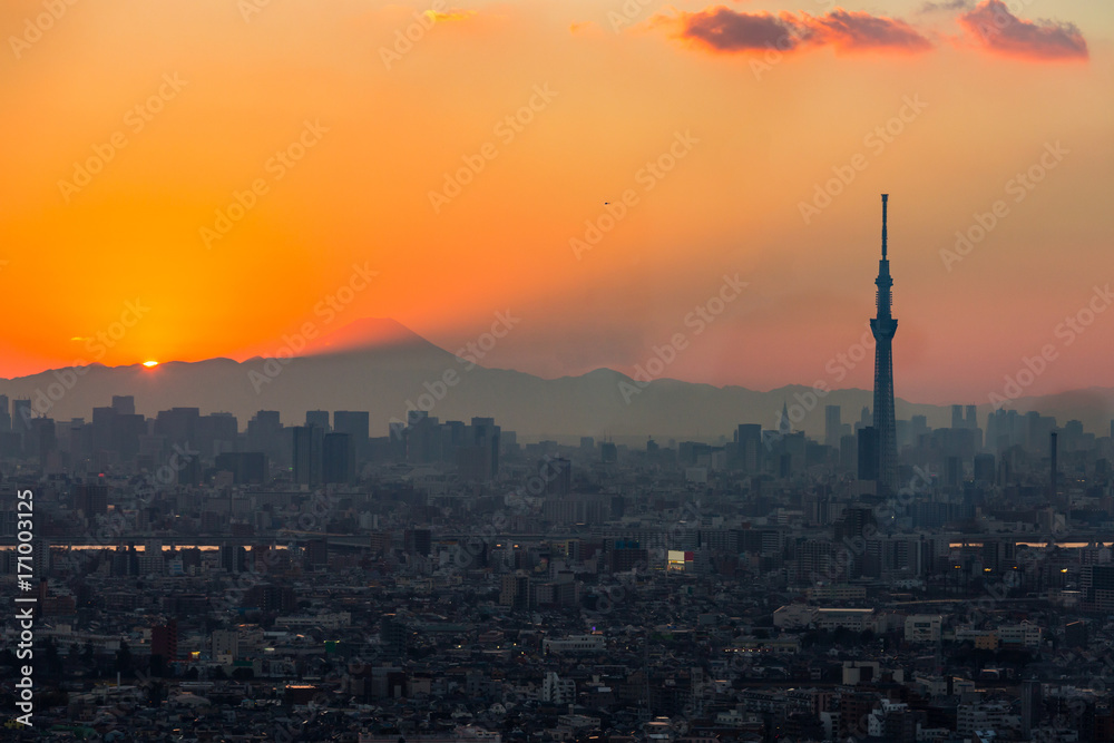 Fototapeta premium Tokyo Sunset