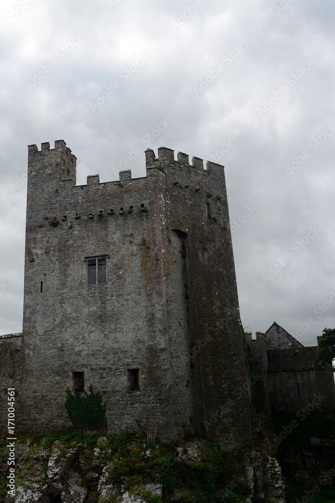 Castle, Cahir, Ireland