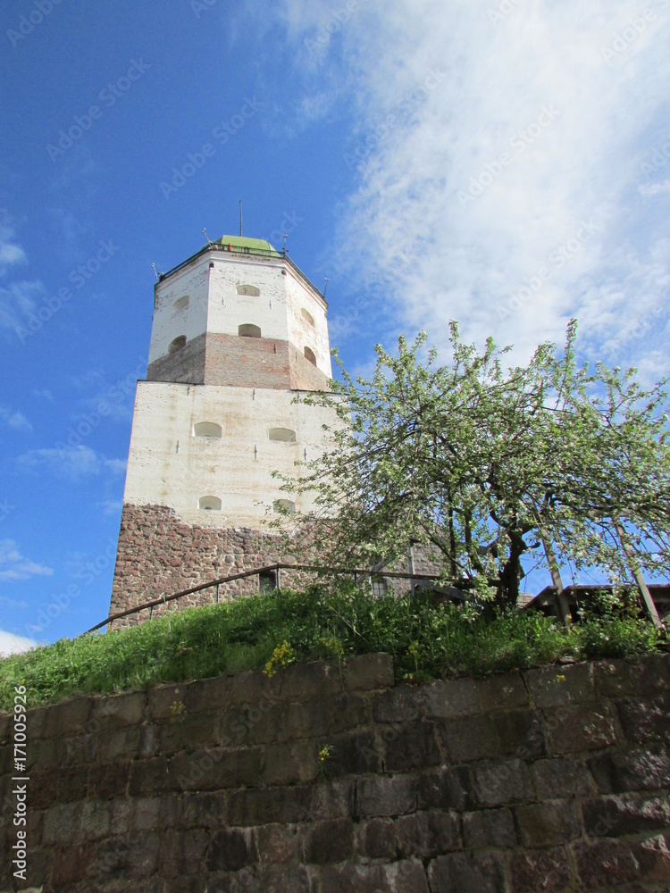 Vyborg castle tower, Russia