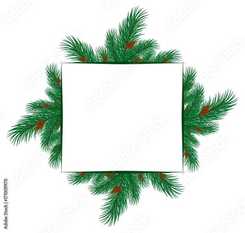 Frame with spruce branches.
