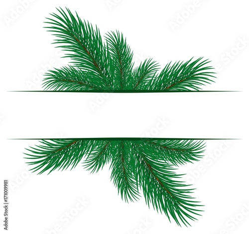 Frame with spruce branches.