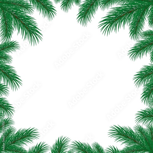 Frame with spruce branches.