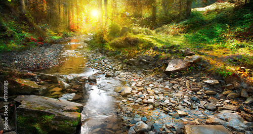 Fototapeta Naklejka Na Ścianę i Meble -  Autumn scene. Mountain spring, forest landscape