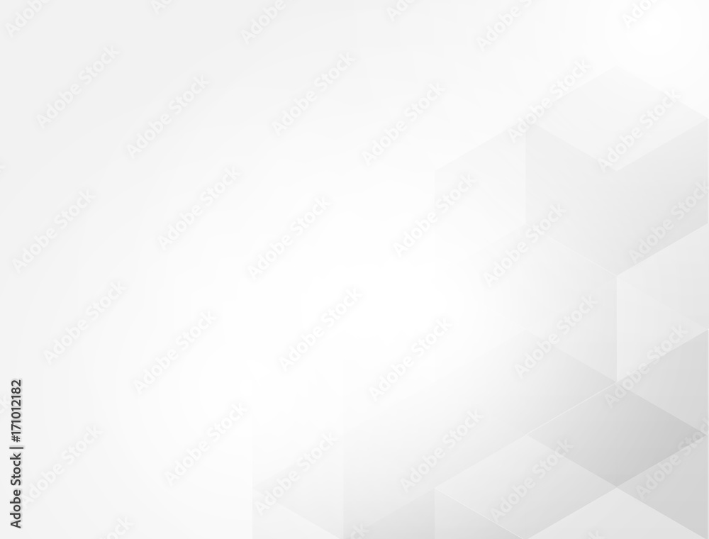 gray white abstract Hexagon vector background gray white abstract Hexagon vector background