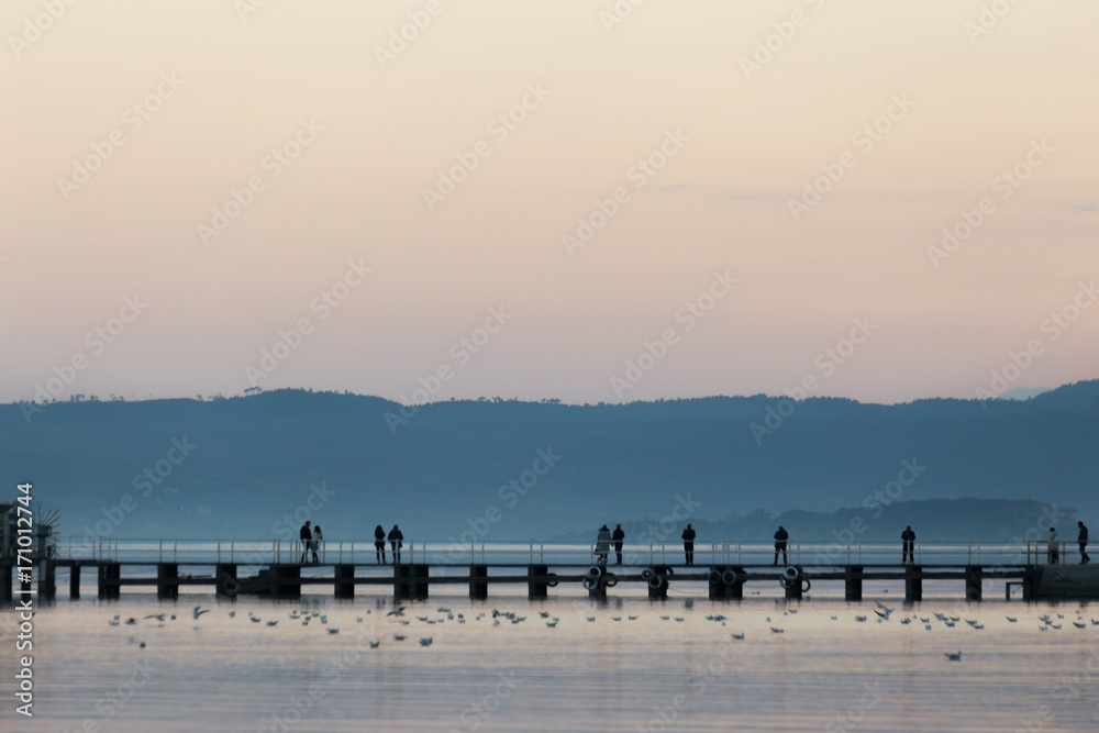 A pier on a lake at dusk, with several people on it, some of them taking photos, and many birds on the water