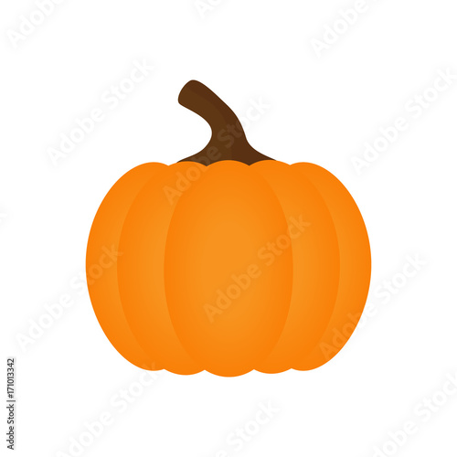 Orange pumpkin vector illustration. Autumn halloween pumpkin, vegetable graphic icon or print, isolated on white background.