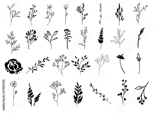 Set of Floral Elements