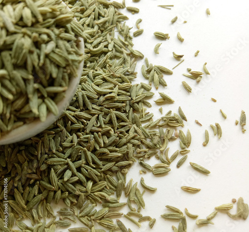 Aniseeds photo