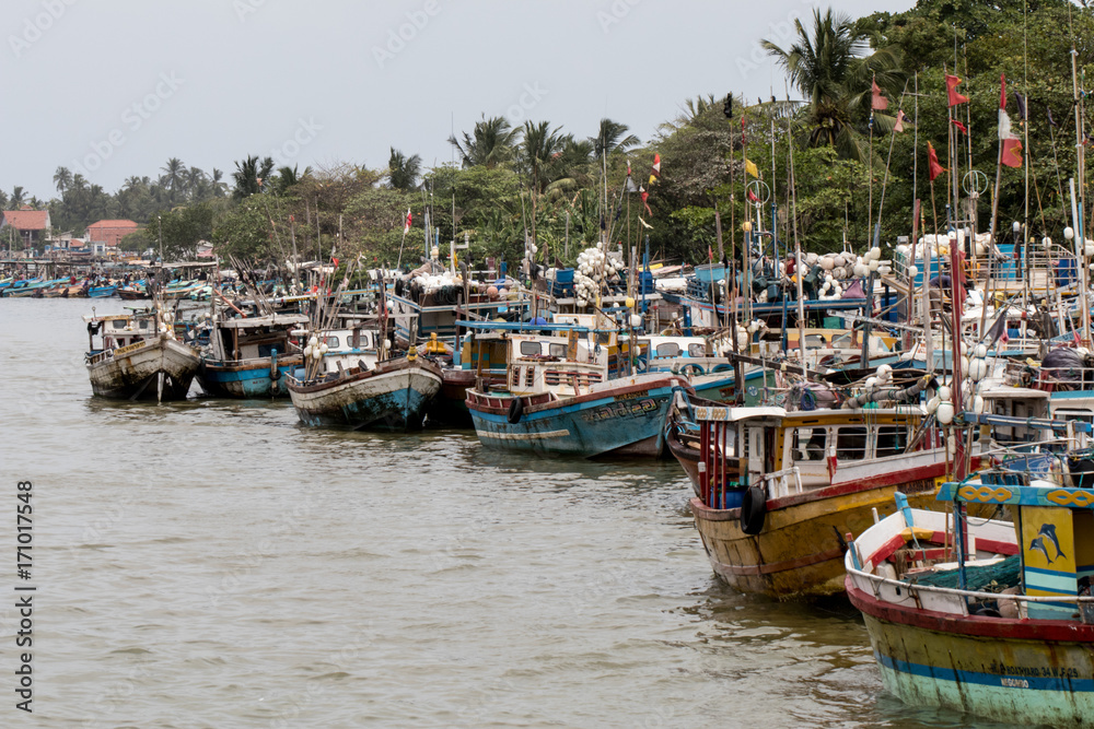 fisherman's boats at harbour of Negombo, Sri lanka