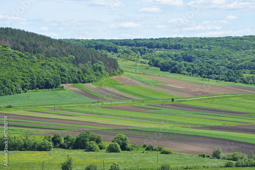 Small farms, forest - rural area in the summer.