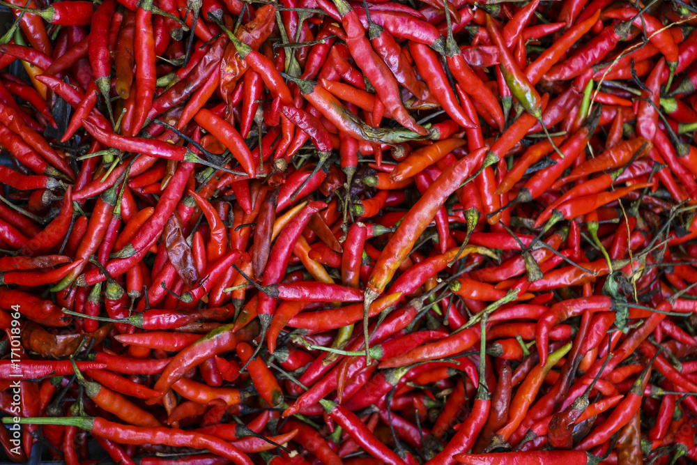 Red chili pepper background