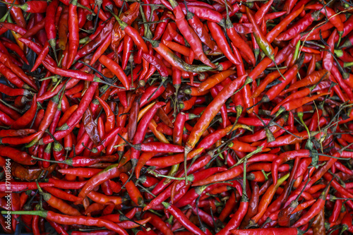 Red chili pepper background
