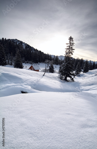 wooden cabin in deep snow in Alps © Olha Rohulya