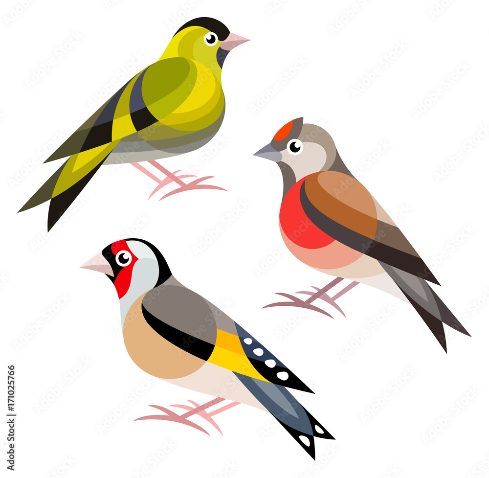 Obraz premium Stylized Birds - Eurasian Siskin, Common Linnet, European Goldfinch