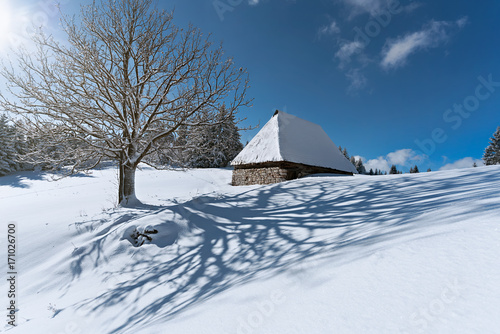 Bright sunny winter snowy landscape with trees and an old abandoned stone house © Sead