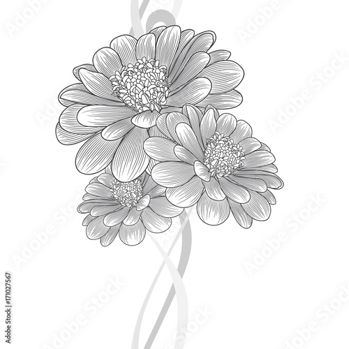 Fototapeta Naklejka Na Ścianę i Meble -  Monochrome seamless hand-drawing floral background with flower chamomile . Vector illustration.