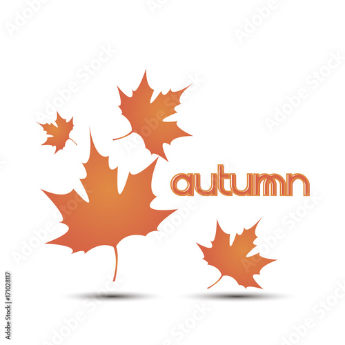 Autumn leaves leaf vector background fall white illustration yellow nature design