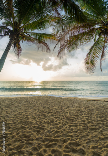 Sunset Beach with palm trees and beautiful sky.