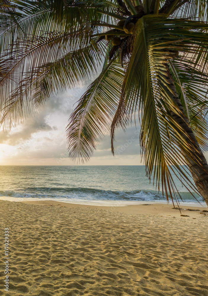 Fototapeta premium Sunset Beach with palm trees and beautiful sky.