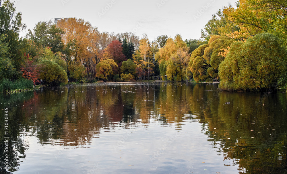 Colorful autumn park and its reflection in a pond at cloudy evening.