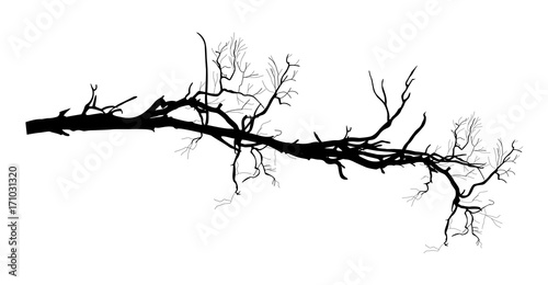 Dry Branch Silhouette
