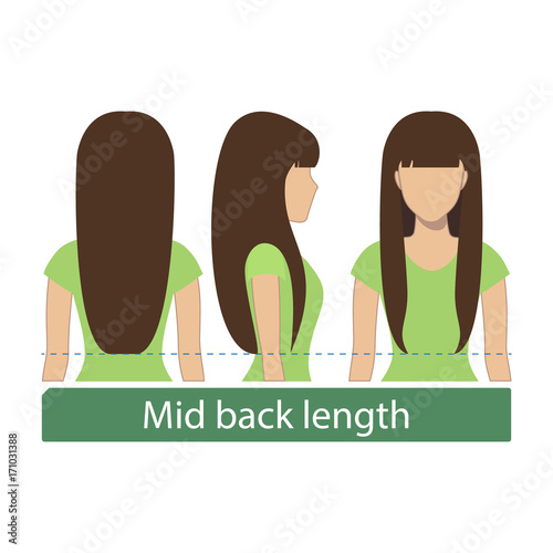 Hair length for haircuts and hairstyles - mid back length. Vector.