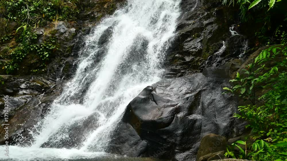 Nature video,A small waterfall in the forest. The water flow through the rocks after the rain. Waterfall hidden in the forests of the National Park. Nature video,A small waterfall in the forest. The water flow through the rocks after the rain. Waterfall hidden in the forests of the National Park.