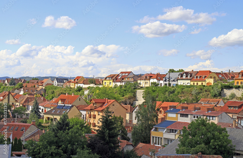 the cityscape of hungarian city Eger
