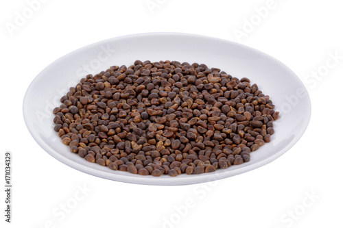 Morning glory seed in white plate on white background