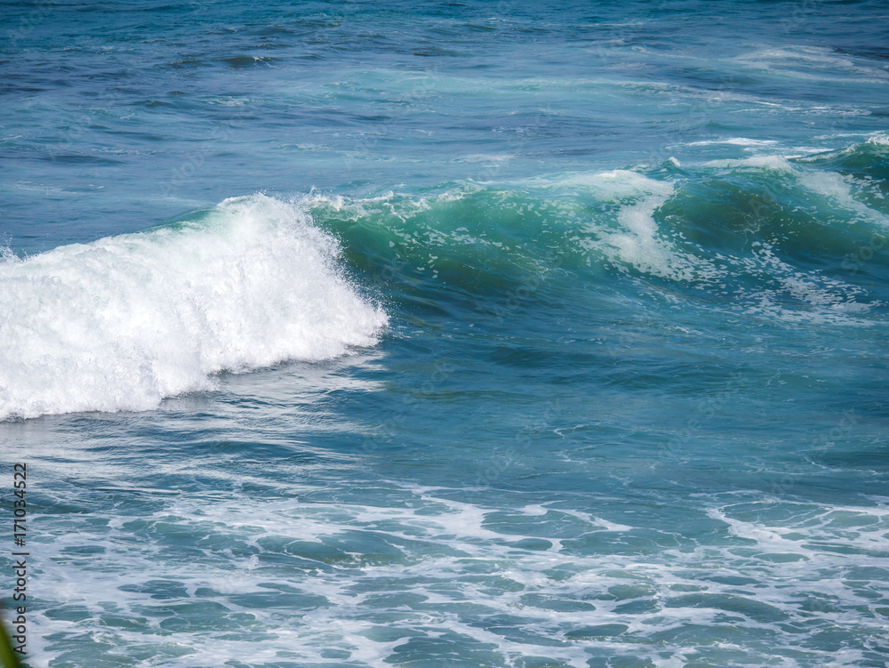 Fototapeta premium Blue wave in tropical ocean.