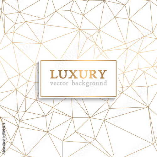 Luxury vector pattern