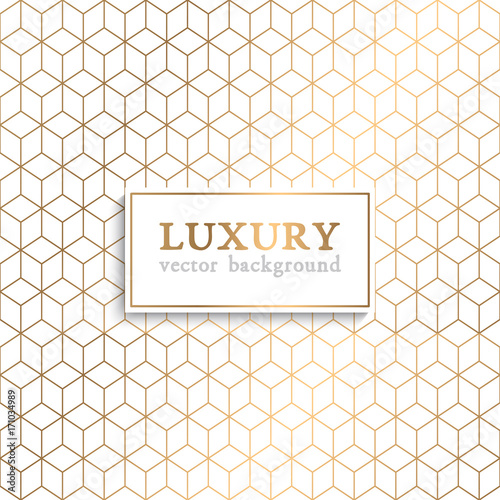 Luxury vector pattern