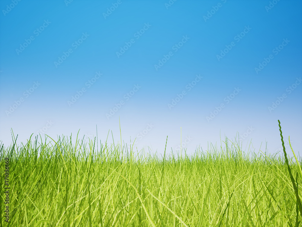 Landscape meadow grass field 3D render Landscape meadow grass field 3D render