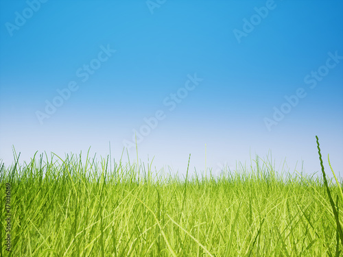 Landscape meadow grass field 3D render