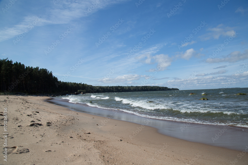 Wild nature beach in the Lahemaa National Park, Käsmu, at the horizon Palganeem, summer
