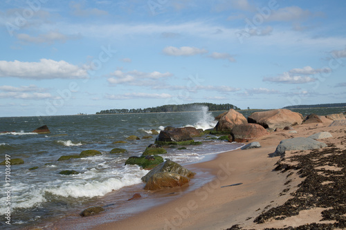 Wild nature beach in the Lahemaa National Park, Käsmu, on the horizon the island Kuradisaar, stormy, summer