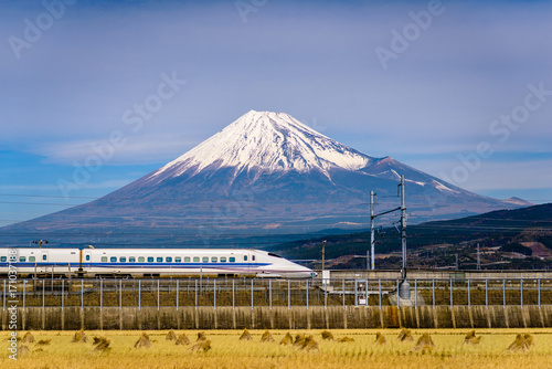 Mt. Fuji and Train photo